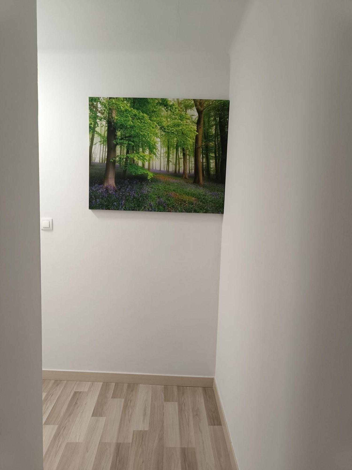 Apartamento Confort I La Seu d'Urgell Dış mekan fotoğraf